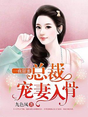 一夜甜蜜:总裁宠妻入骨 一夜甜蜜:总裁宠妻入骨