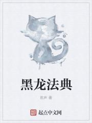 黑龙法典 黑龙法典